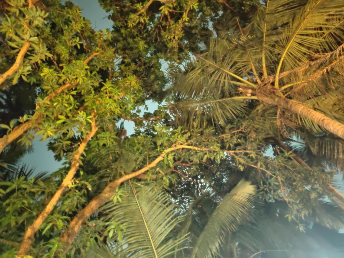 Namahstay Eco Hostel & Coworking & Art Community Space Arambol Exterior photo